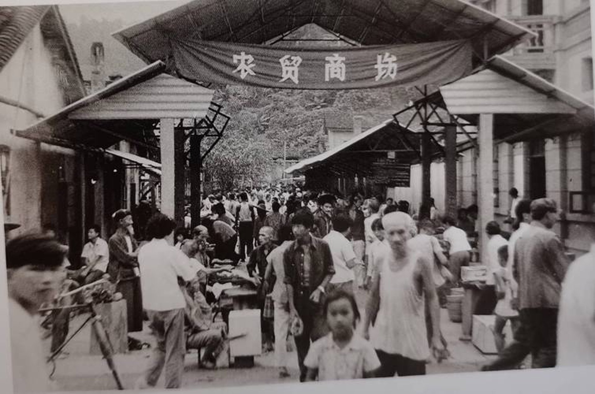 陶三建材